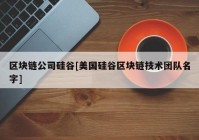 区块链公司硅谷[美国硅谷区块链技术团队名字]