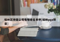 榆林区块链公司有哪些名单啊[榆林pga项目]